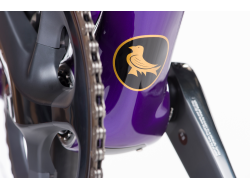 Signature Gold STC Disc