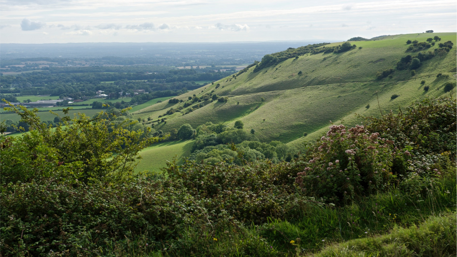 Scenic photograph of Ditchling on a warm summers day